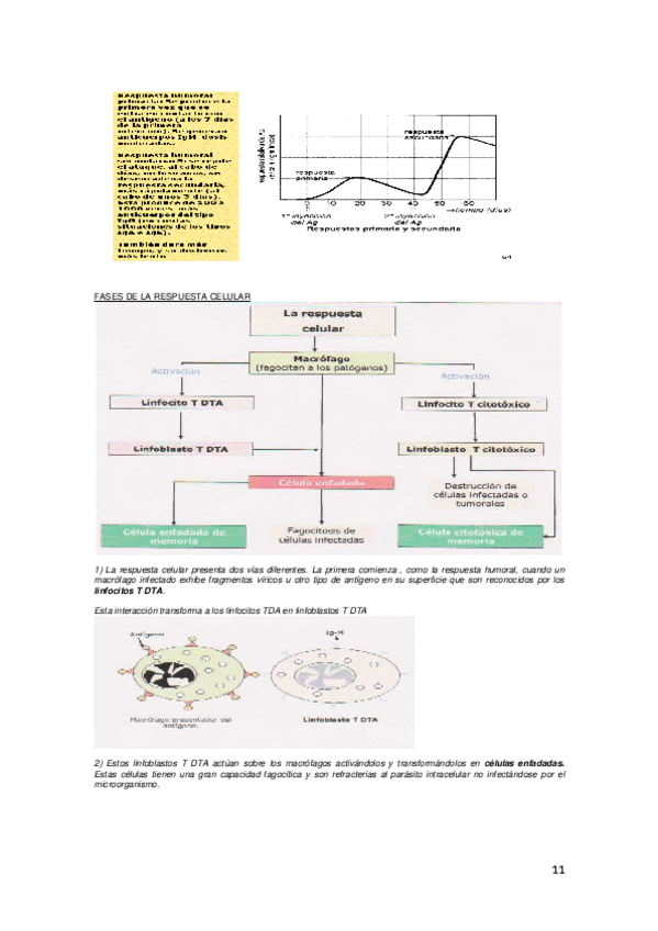 Miniatura del documento 11-12.pdf
