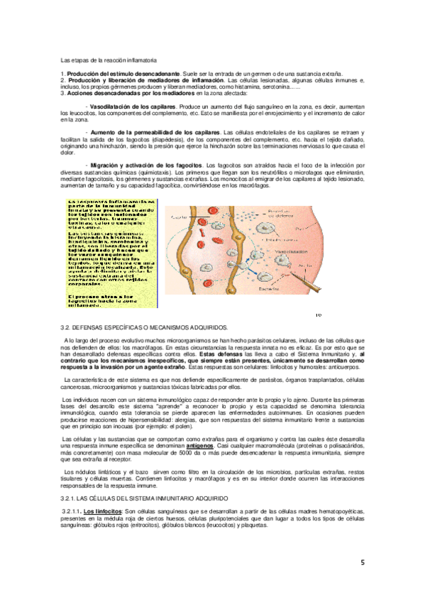 Miniatura del documento 05-06.pdf