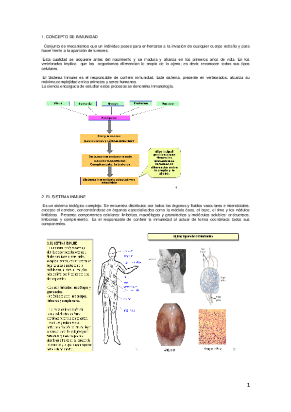 Miniatura del documento 01-02.pdf