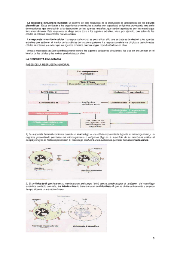 Miniatura del documento 09-10.pdf