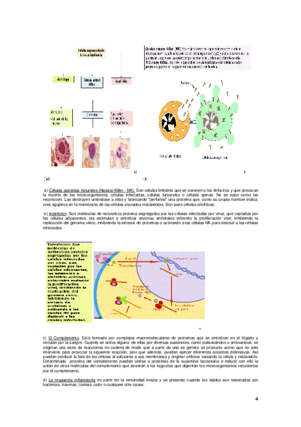 Miniatura del documento 04-04.pdf