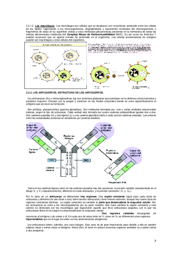 Miniatura del documento 07-08.pdf