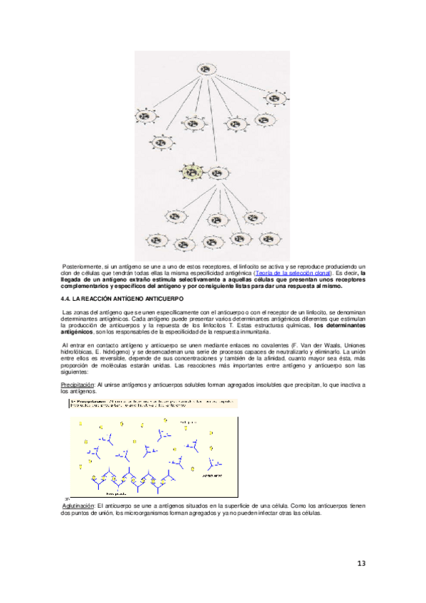 Miniatura del documento 13-14.pdf