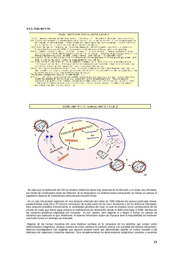 Miniatura del documento 18-19.pdf
