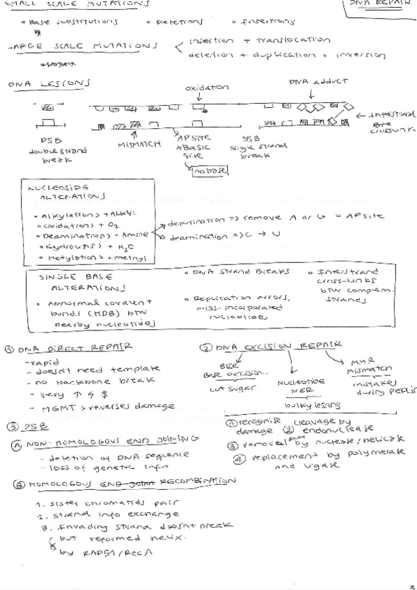 Miniatura del documento dnalesions.pdf