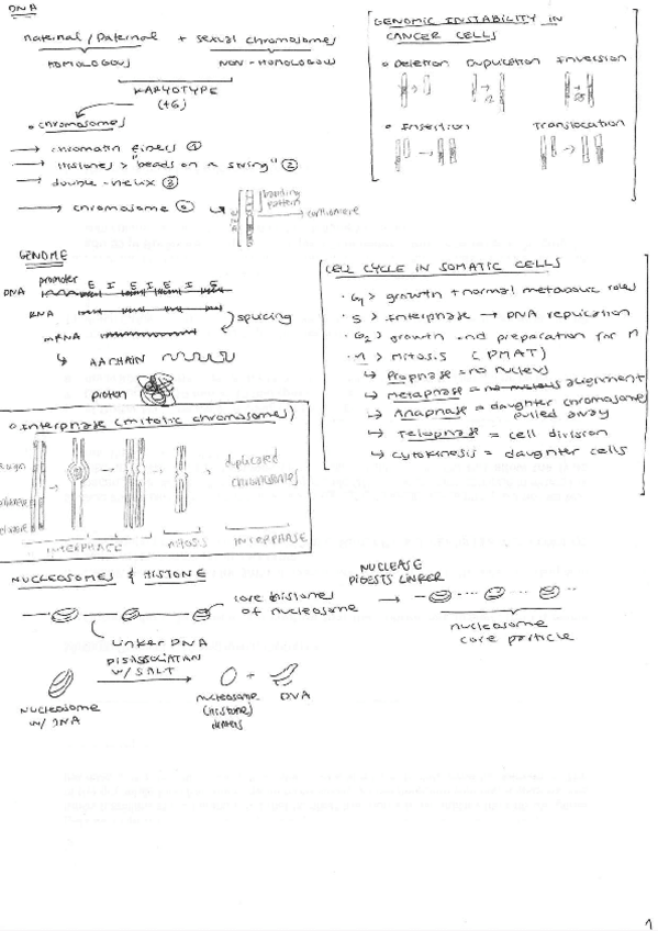 Miniatura del documento dna.pdf