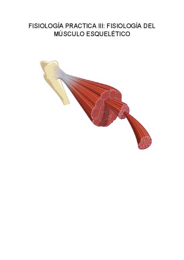 Miniatura del documento VALVERDE-PUGA-RAUL-PRACTICA-III.pdf