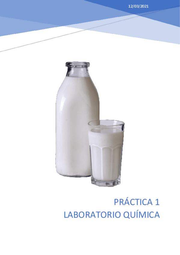 Miniatura del documento Quimica-Practica-1.pdf
