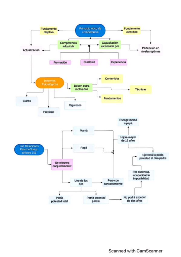 Miniatura del documento Principios-eticos-de-la-psicologia.pdf