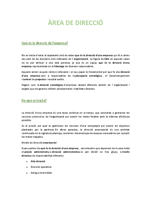 Miniatura del documento Area-de-direccio.pdf