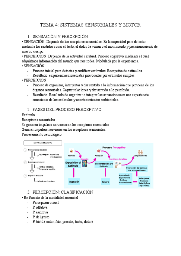 Miniatura del documento TEMA-4-PSICOBIOLOGIA.pdf