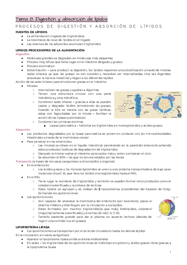 Miniatura del documento Bloque-4.pdf