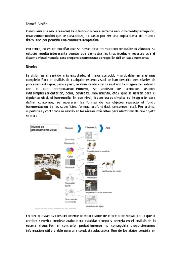 Miniatura del documento Tema-5-Vision-I.pdf