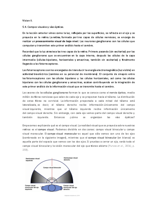 Miniatura del documento Tema-5-Vision-II.pdf