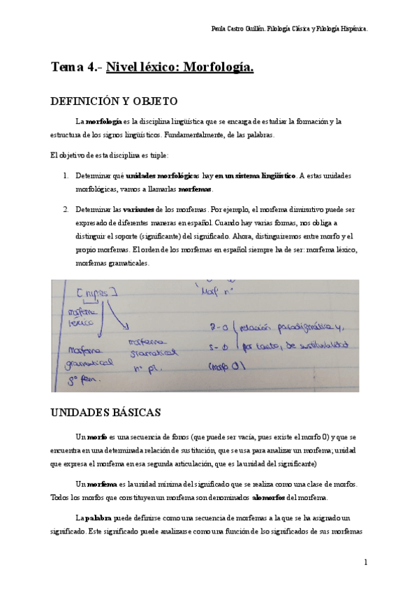 Miniatura del documento Tema 3: Nivel léxico. Morfología.pdf