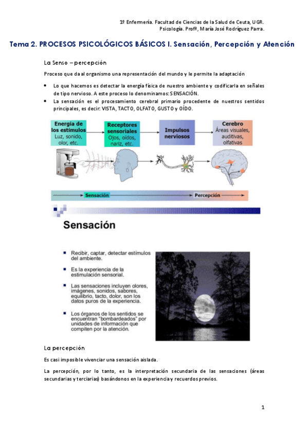 Miniatura del documento Tema-2.-Sensopercepcion.pdf