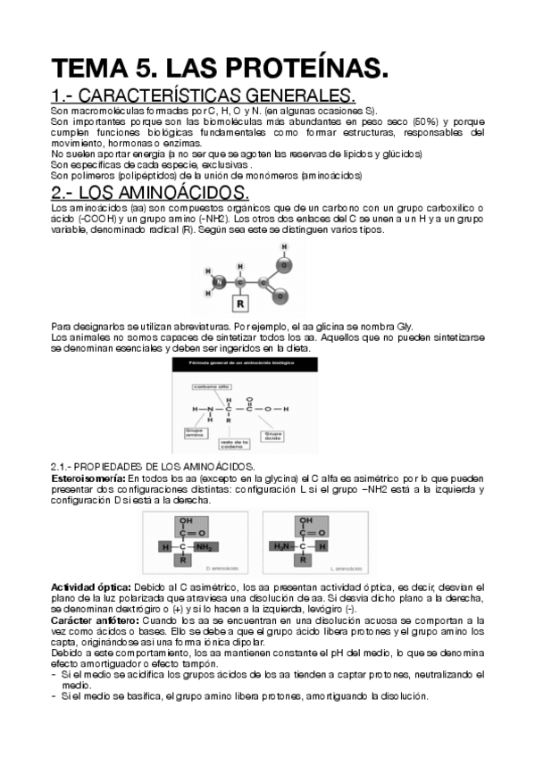 Miniatura del documento TEMA-5.-LAS-PROTEINAS..pdf