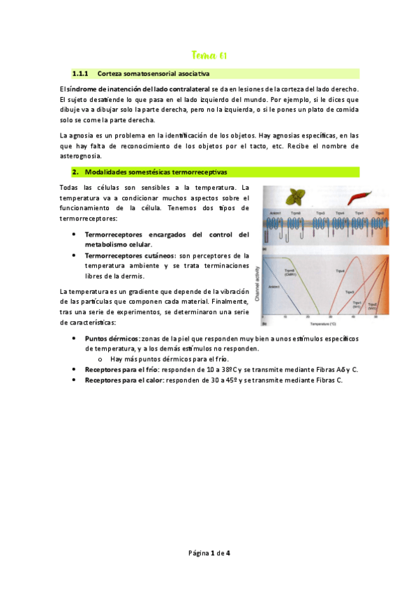 Miniatura del documento Tema-65.pdf