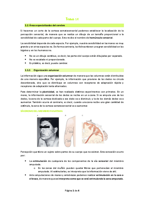 Miniatura del documento Tema-55.pdf