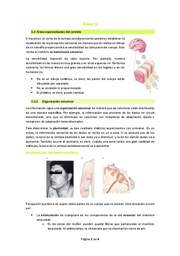 Miniatura del documento Tema-53.pdf