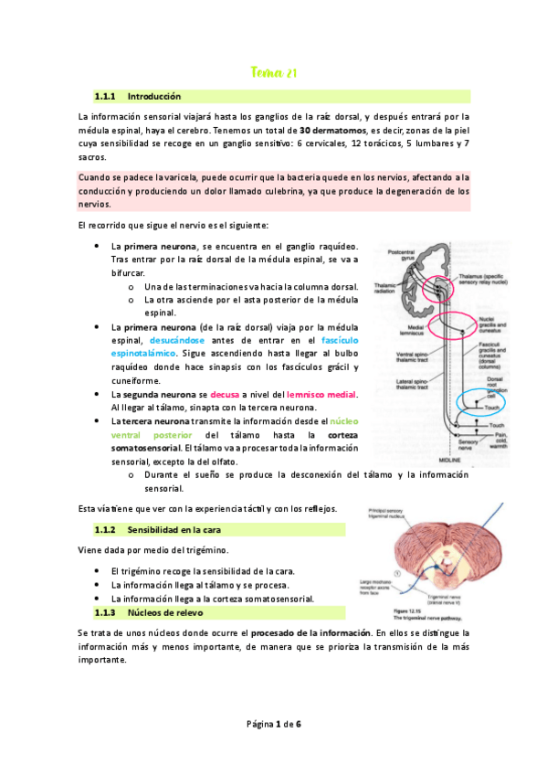 Miniatura del documento Tema-21.pdf