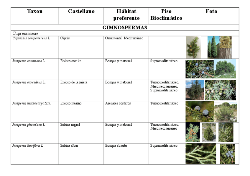 Miniatura del documento Visu-completo-con-fotos-Castellano.pdf