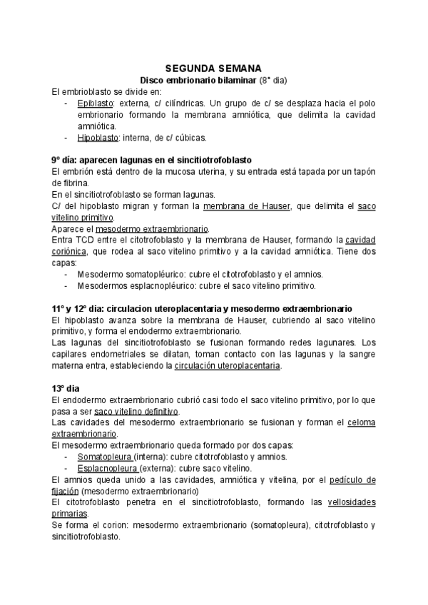Miniatura del documento SEGUNDA-SEMANA.pdf
