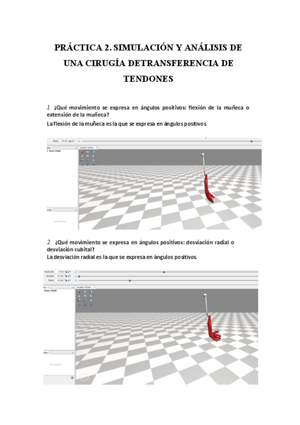 Miniatura del documento PRACTICA-2.pdf