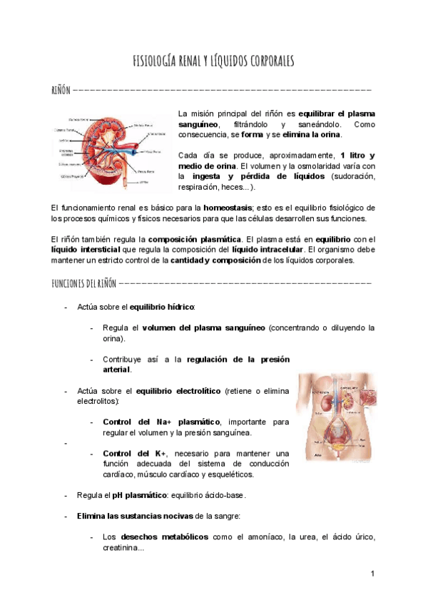 Miniatura del documento Fisiologia-renal.pdf