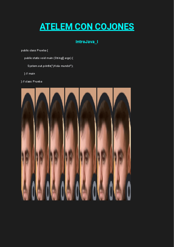 Miniatura del documento ResumenJupyterNotebooksConCojones.pdf