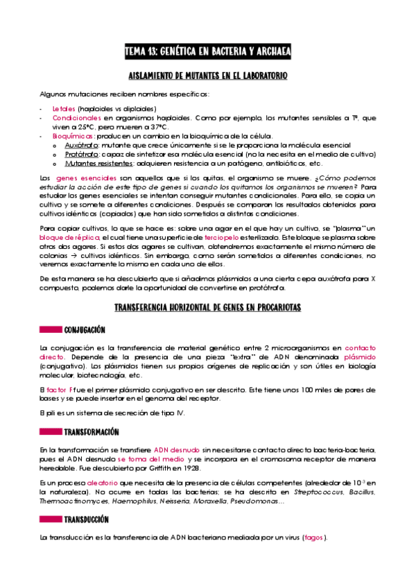 Miniatura del documento Tema-13-Microbiologia.pdf