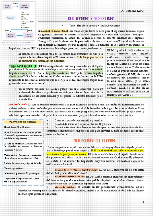Miniatura del documento Hepatograma-y-alcoholismo-completo.pdf