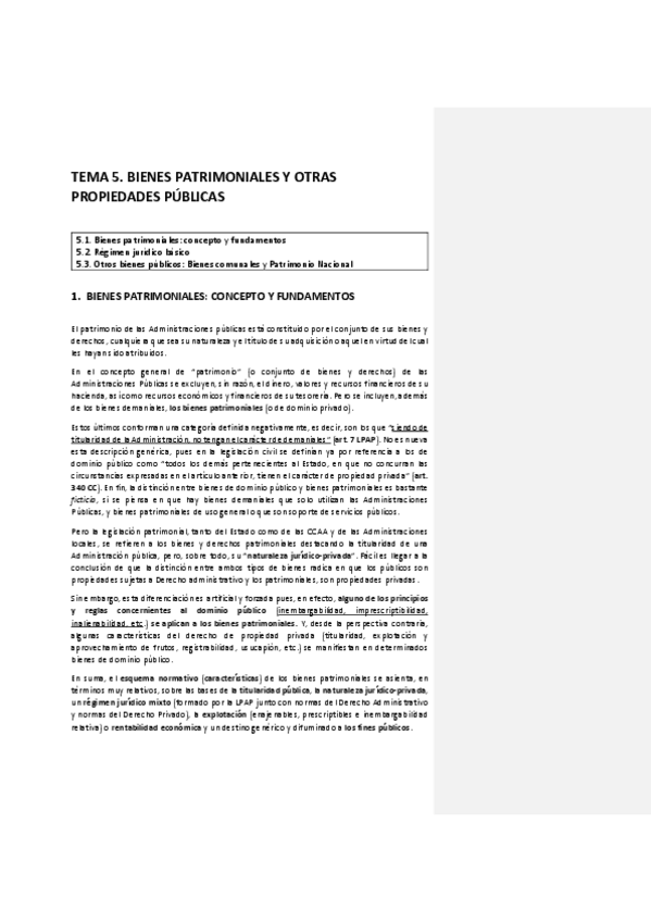 Miniatura del documento TEMA-5-BIENES-PATRIMONIALES.pdf