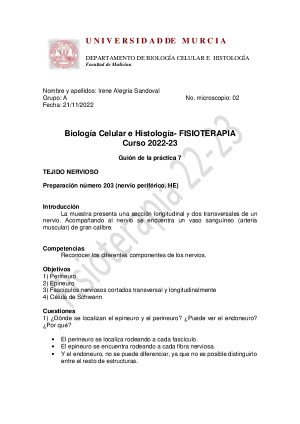 Miniatura del documento Guion-practica-7-TERMINADA..pdf