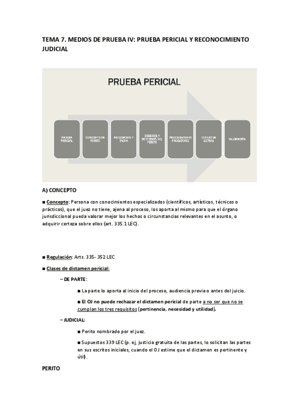 Miniatura del documento TEMA-7-MEDIOS-DE-PRUEBA-II.pdf