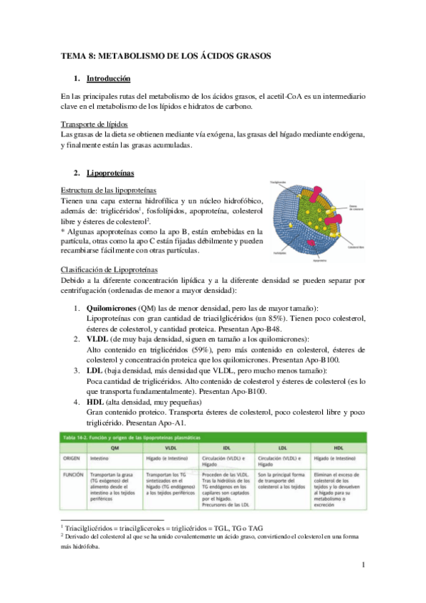 Miniatura del documento TEMA 8.pdf