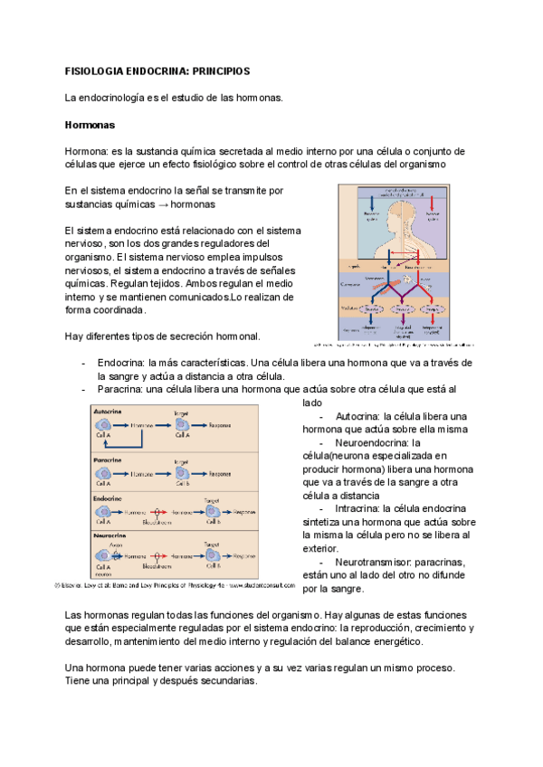 Miniatura del documento T11-Fisiologia-endocrina.pdf