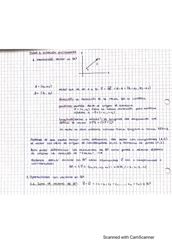 Miniatura del documento TEMA-3.-ESPACIOS-VECTORIALES.pdf