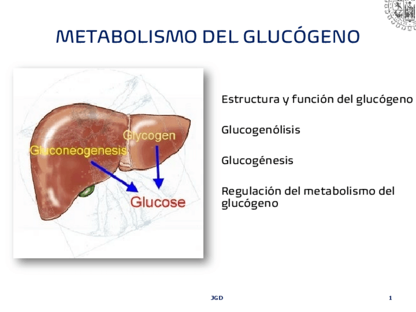 Miniatura del documento MetGLucg-23.pdf