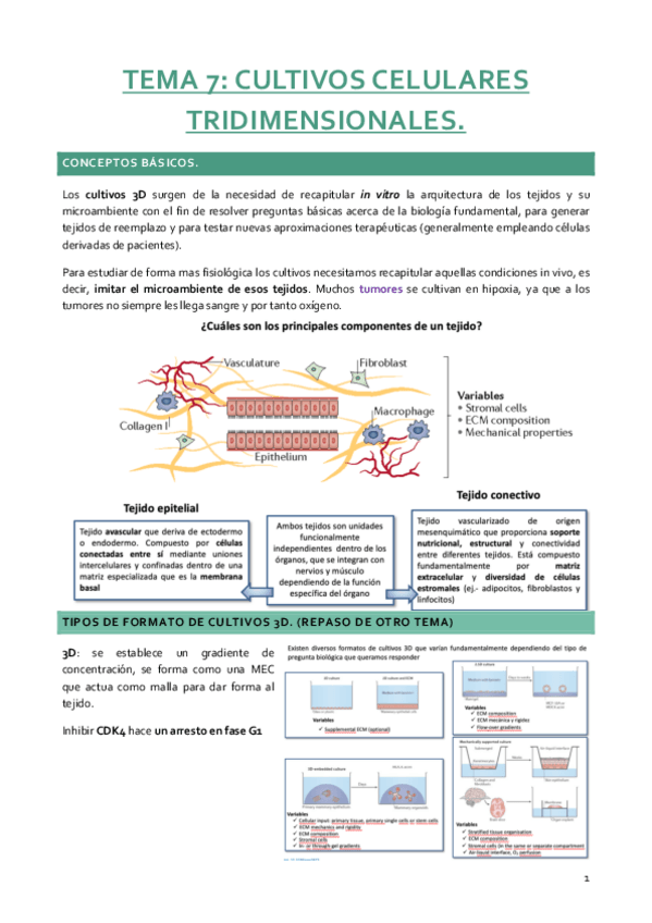 Miniatura del documento CC-TEMA-7.pdf