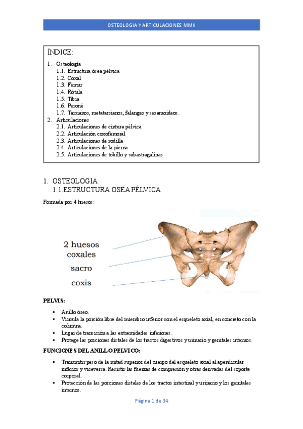 Miniatura del documento tema-MI.pdf