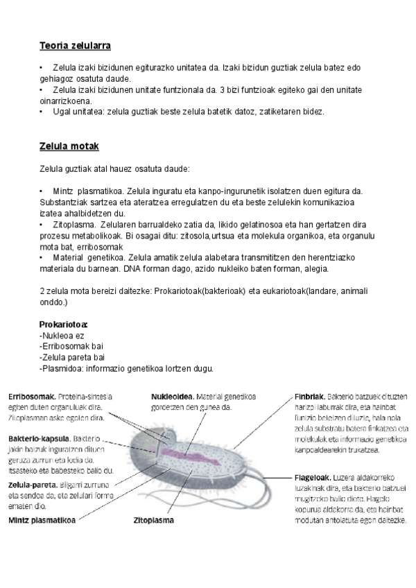 Miniatura del documento Zelula-antolaketa-izaki-bizidunetan.pdf