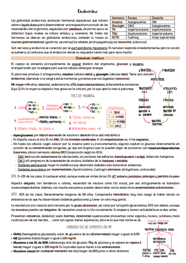 Miniatura del documento Endocrino.pdf