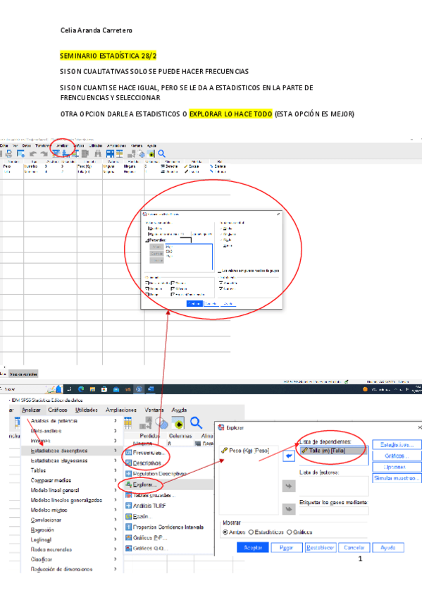 Miniatura del documento SEMINARIO-ESTADISTICA-ACTUALIZADO-11.04.pdf
