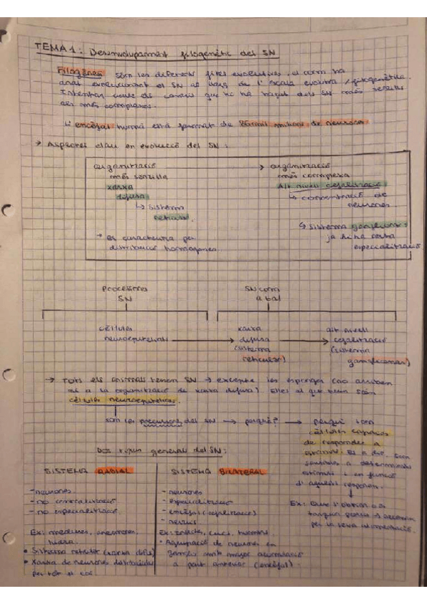 Miniatura del documento TOT NEUROANATOMIA 1R PARCIAL.pdf
