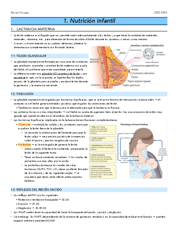 Miniatura del documento Esp1.-Nutricion-infantil.pdf
