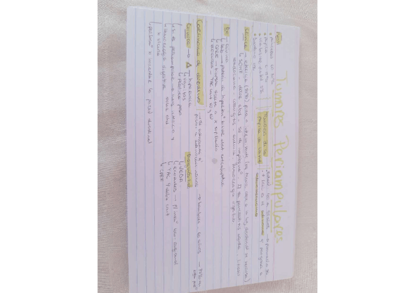 Miniatura del documento IMG20230203150239059.pdf