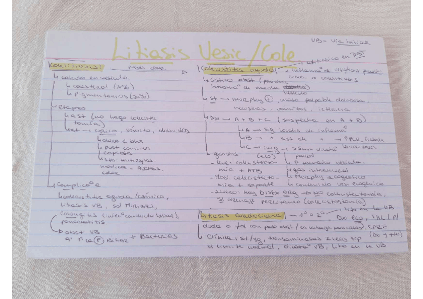 Miniatura del documento IMG20230203150329171.pdf