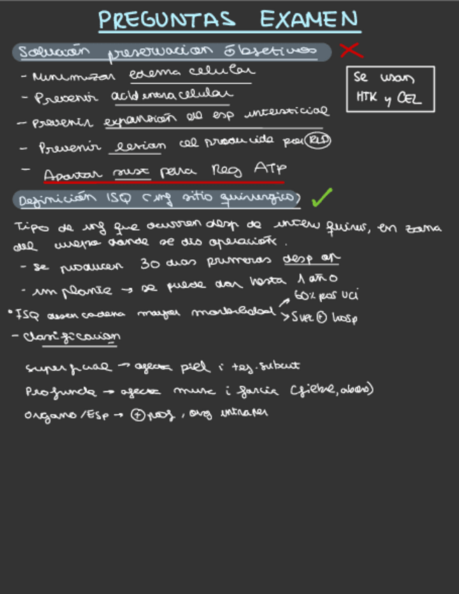 Miniatura del documento Esquemas-Bases-Cirugia.pdf