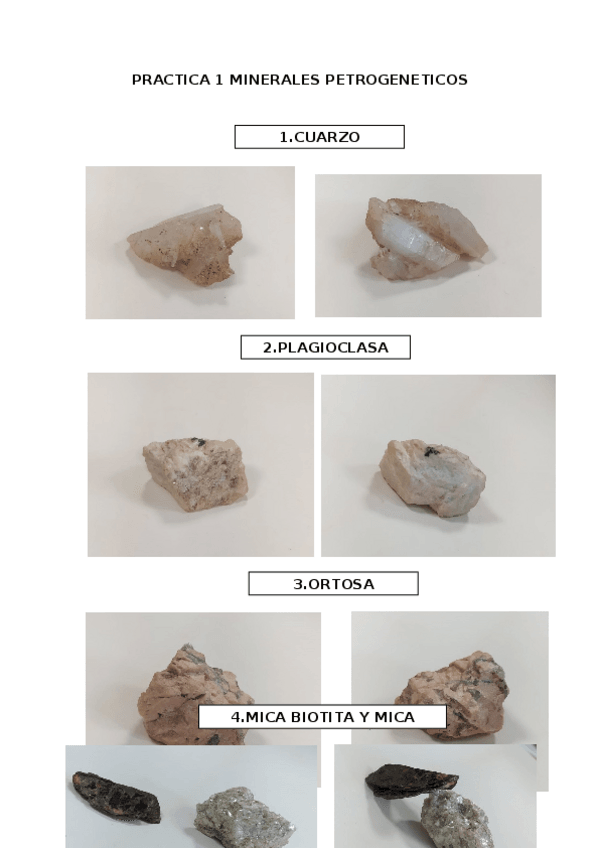 Miniatura del documento PRACTICA-1-MINERALES-PETROGENETICOS.docx